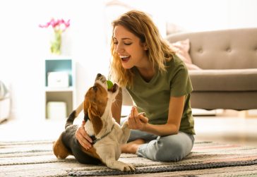 Ansiedade canina: brinquedos e petiscos podem ajudar! - Doglicious